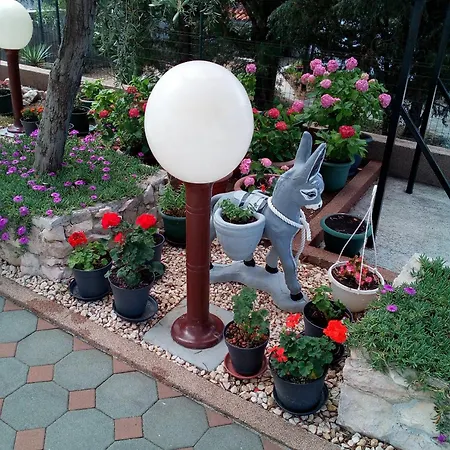 Double Barbat 4862a 3* Barbat na Rabu