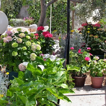 Double Barbat 4862a 3* Barbat na Rabu